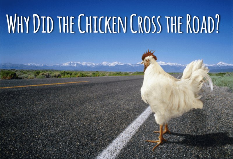 Best chicken road game in Spain
